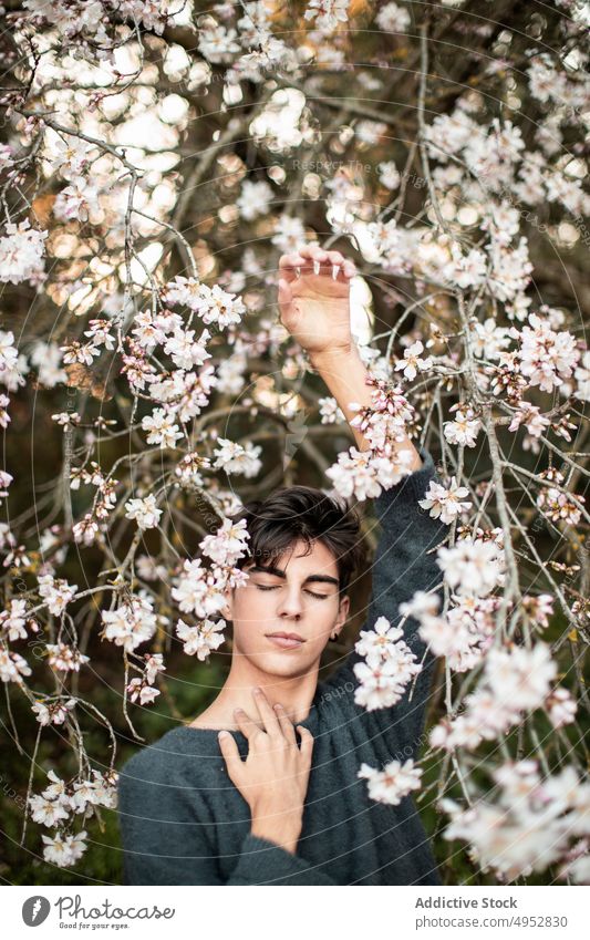 Young Man With Closed Eyes Under Blooming Tree flower nature tree flora garden season branch outdoors almond bloom blossom blur botany calm elegant environment