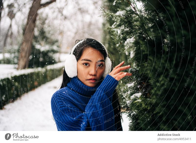 Ethnic woman in warm clothes touching tree in winter park snowfall coniferous evergreen tender wintertime portrait knitwear gentle cold weather idyllic urban
