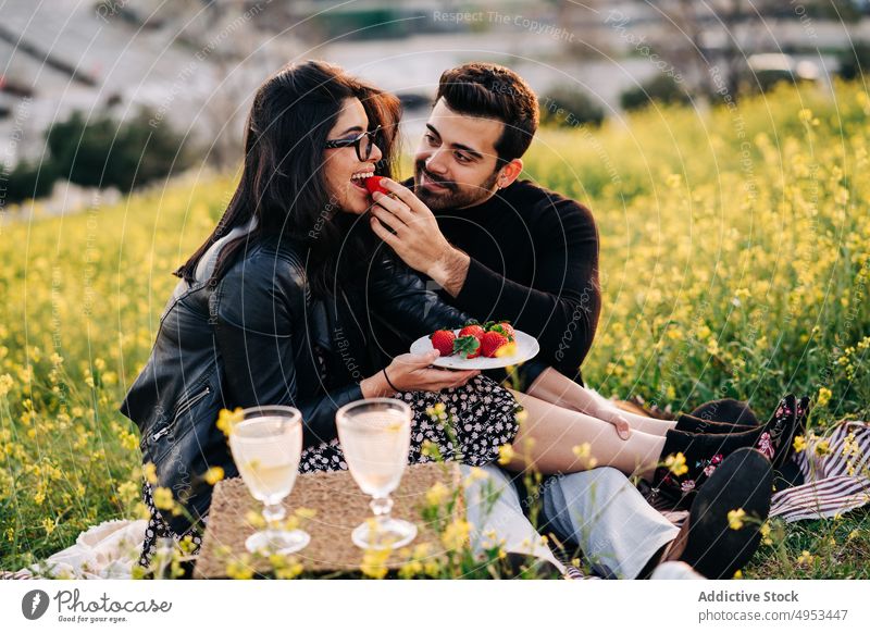 Smiling ethnic man feeding beloved with strawberry in field boyfriend girlfriend romantic relationship spend time weekend ripe vitamin tasty fabric rest sit