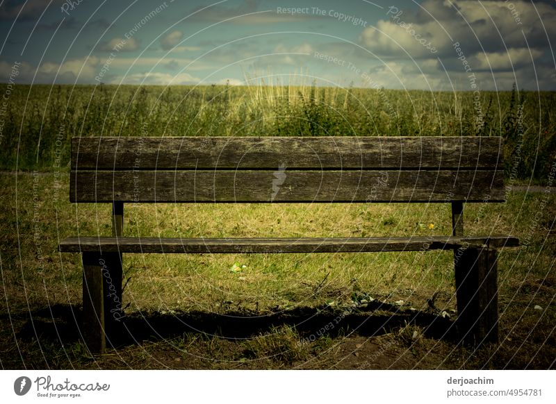 An old bench that already looks very worn, stands on a meadow at the edge of the field. The sky is very cloudy. Deserted Exterior shot Relaxation Nature Calm