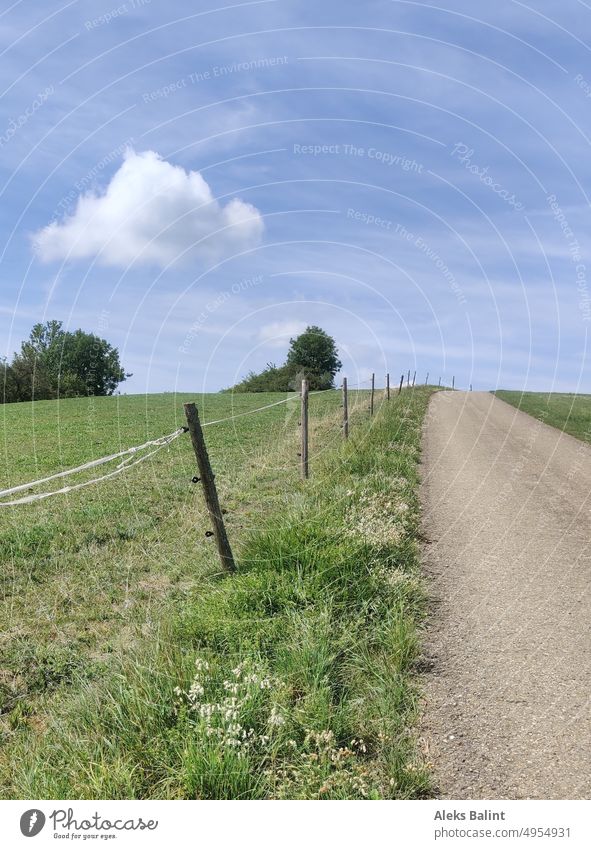 A path in the countryside next to a fence under a blue sky with clouds. off Street Landscape Nature Sky Rural Summer Outdoors Picturesque Field Grass background