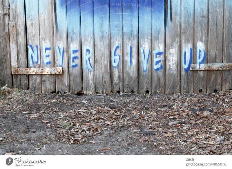 NEVER GIVE UP Graffiti give up Hope hope Positive Optimism Brave Success Resolve Willpower Force Characters Wall (building) Wood