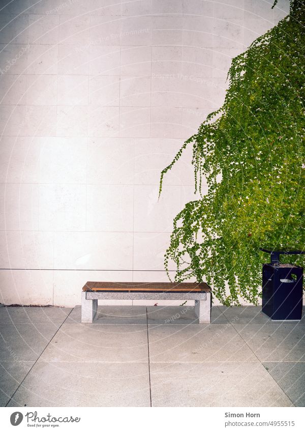 Bench in front of green wall Seating Waiting room proliferate Overgrown Facade Meeting point Growth Concrete Contrast Disagreement antagonism Wall (building)