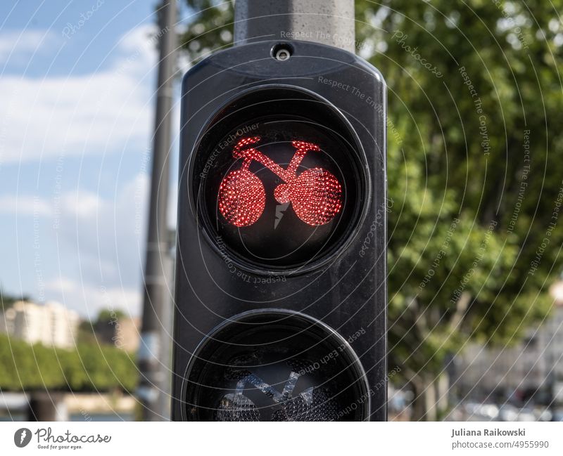 Bicycle traffic light is on red Transport Street Cycling Means of transport Road traffic Traffic infrastructure Mobility Lanes & trails Exterior shot Cycle path