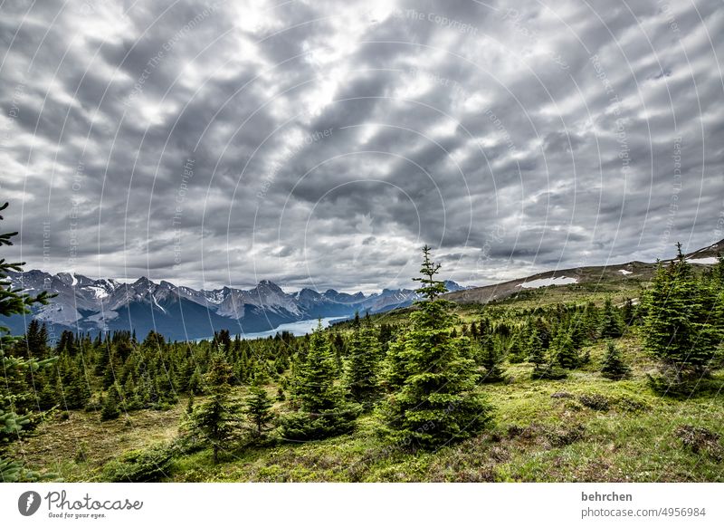sogkraft Weather Clouds Impressive high up Rocky Mountains Forest Freedom Vacation & Travel Wanderlust Far-off places Deserted Colour photo Canada Hiking