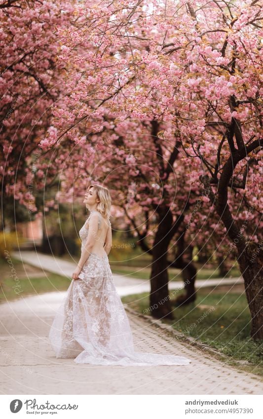woman's day. beautiful young woman in luxury long dress near blossoming of sakura. stylish girl near blossoming sakura flowers on background in the spring park. Harmony with nature concept