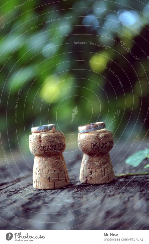 Rings on champagne corks Wedding rings Love get married nuptial romantic Still Life Decoration Accessory Happy symbol Symbol of love Jewellery Cork