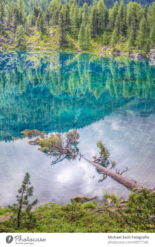 deep blue lake in the Val da Camp valley near Poschiavo landscape travel outdoor nature val di campo park larch fall yellow alps forest colorful autumn alpine