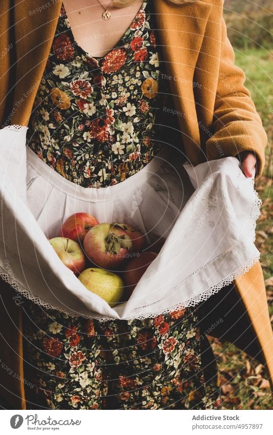 Woman with fresh ripe fruits in autumn orchard woman apple apron crop harvest food dress horticulture healthy natural garden nutrition gardener female