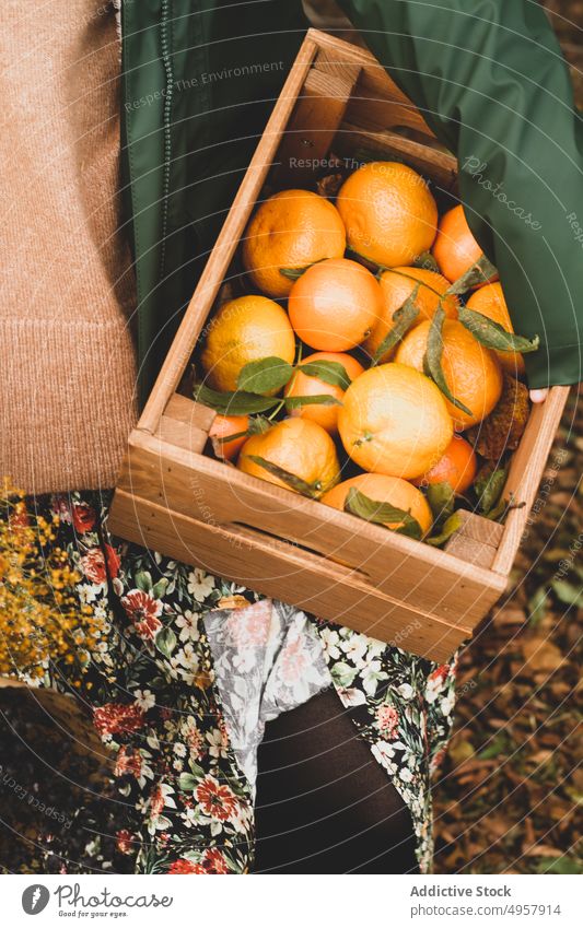 Anonymous woman with fresh tropical fruits in wooden crate in orchard orange harvest farmer juicy food ripe healthy horticulture natural garden nutrition