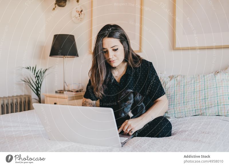Young woman on the computer with dog sitting bed laptop cozy network copy space relax using horizontal technology working cute domestic device gadget brunette