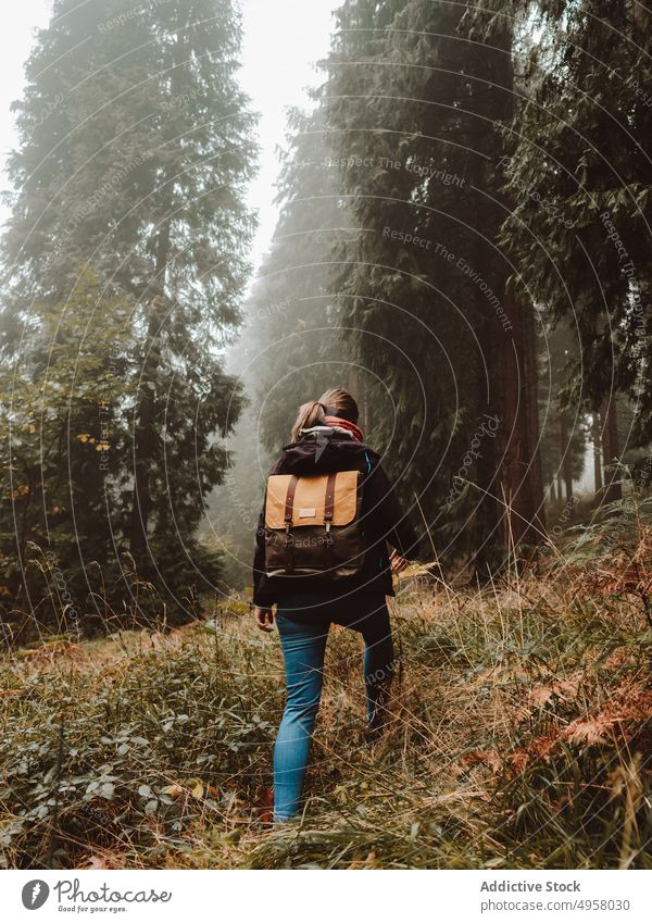 Woman exploring a foggy forest woman walking landscape trees backpack autumn woodland nature peaceful scenery mountain foliage tranquil environment season lush