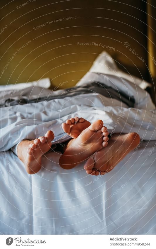 Anonymous couple cuddling feet while sleeping together under blanket relationship barefoot comfort cuddle relax soft bed morning rest tender affection tranquil