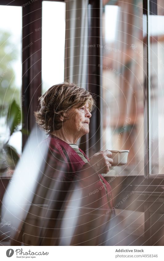 Pensive elderly woman drinking hot beverage near window cozy cup home pensive rest retire female casual room lifestyle contemplate relax dreamy aged peaceful