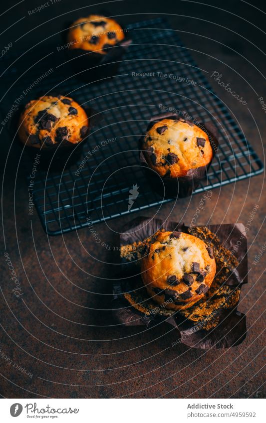 Chocolate muffins on cooling rack baked breakfast butter cake chocolate cupcake dark dessert food sweet fresh delicious tasty yummy calories snack pastry