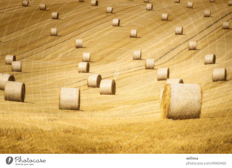 Straw bales - Farmer's straw Bale of straw Field Summer Autumn Harvest Agriculture Stubble field Roll of straw