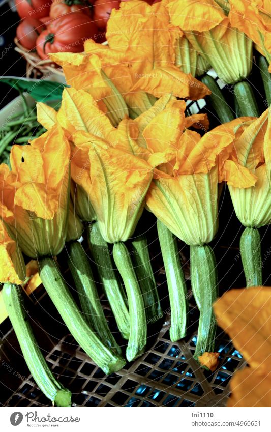 Zucchini flowers Food Nutrition Vegetable male zucchini flowers Cucurbits Edible Delicacy yellow blossom green stem upstanding Sales box Grating Decoration