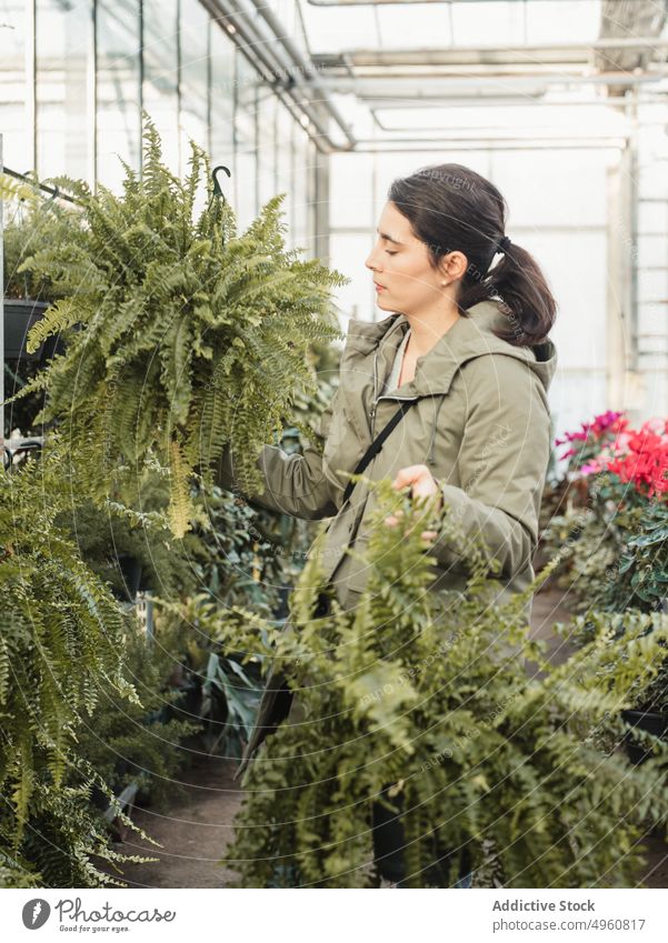 Woman buying potted plant in modern greenhouse market woman tree choose hothouse houseplant consumer glasshouse gardener focus florist female choice buyer