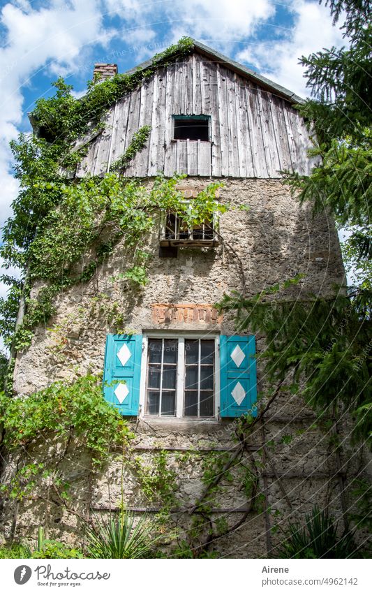close to nature | cottage in the green Idyll House (Residential Structure) Window Facade Contentment Safety (feeling of) Protection Worm's-eye view Old