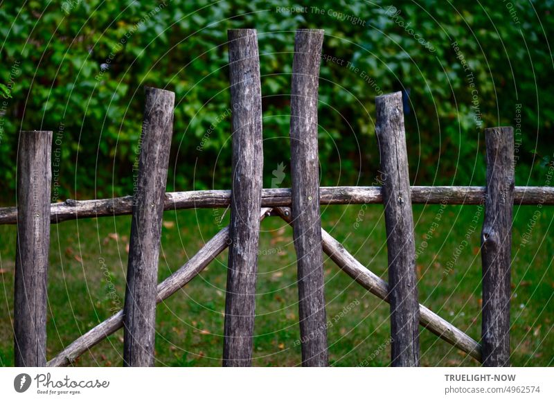 Old fence, gate, barrier in organic bio design in front of grass and green hedge Fence Simple Wood branches untreated Gate Goal cordon Nature Park Meadow Hedge