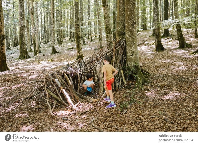 Brothers playing in shelter in forest brother summer children together boy stick weekend nature sibling kid childhood countryside little friend activity daytime