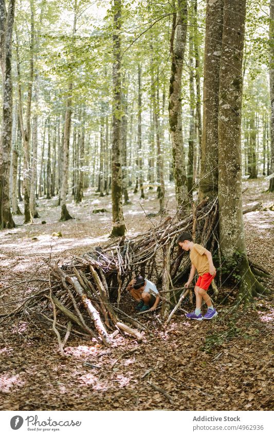 Brothers playing in shelter in forest brother summer children together boy stick weekend nature sibling kid childhood countryside little friend activity daytime
