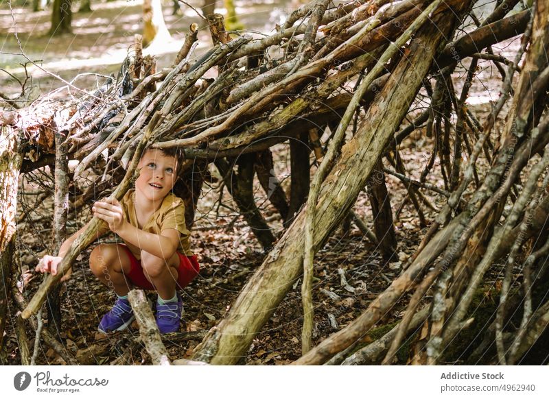 Boy building shelter from sticks boy summer forest smile play weekend glad daytime child childhood countryside nature happy season positive kid activity