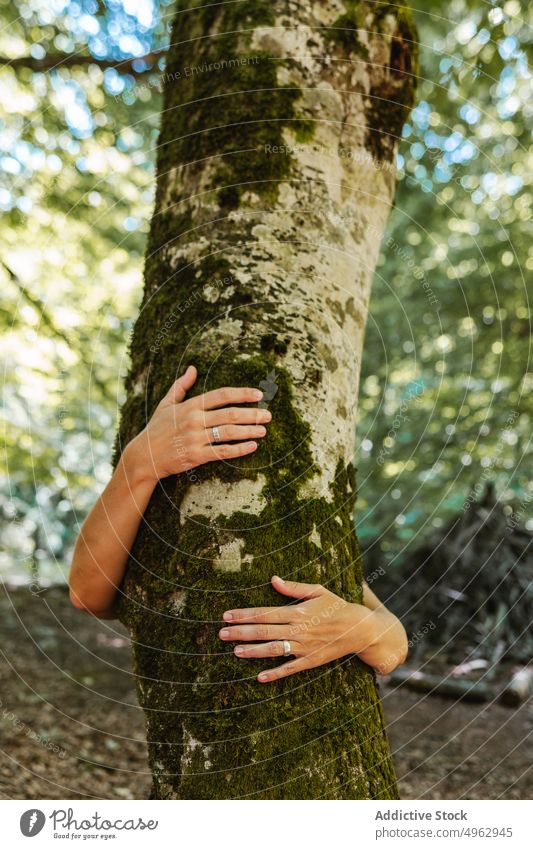 Anonymous woman hugging tree trunk tourist forest summer moss ring weekend nature female woods woodland love bark natural daytime lush sunlight season alone