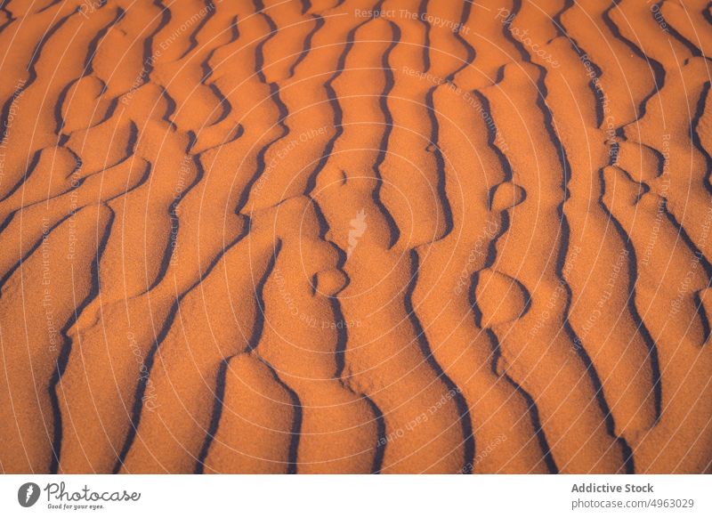 Wavy surface of dry sand arid wavy beach sunset uneven background nature texture gran canaria canary islands spain desert barren evening sunlight summer dune