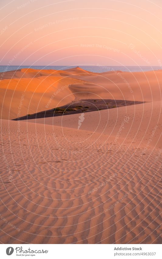 Arid desert near sea at sunset dune arid sky sand beach evening coast gran canaria canary islands spain sundown scenery marine scenic shore nature twilight dusk