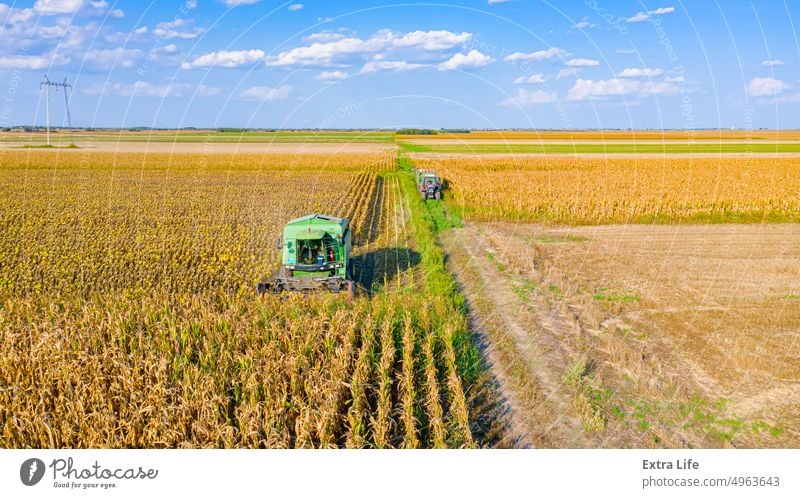 Above view of combine, harvester machine harvest ripe sunflower Aerial Agricultural Agriculture Agronomy Cereal Combine Country Crop Cultivated Cut Farm Farming