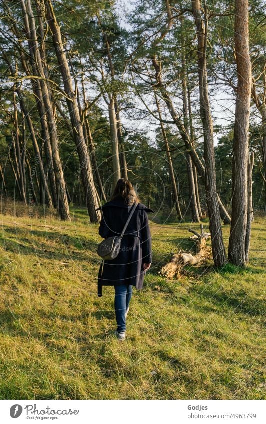 Woman walks across a meadow into a forest Meadow Forest Coat Brunette trees jeans Shadow Light Tree trunk Nature Environment Landscape Exterior shot