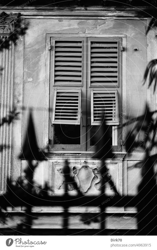 Mediterranean window in classicist facade behind fence tops in Genoa Window Shutter Facade classicistic classicistic style neoclassical building Old