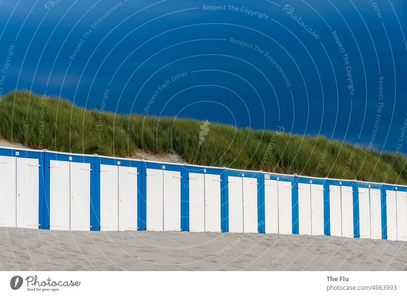 Blue beach cabins in Oostkapelle - Netherlands North Sea Read Sand Beach duene dunes Marram grass Sky Clouds Blue sky North Sea coast Relaxation Colour photo