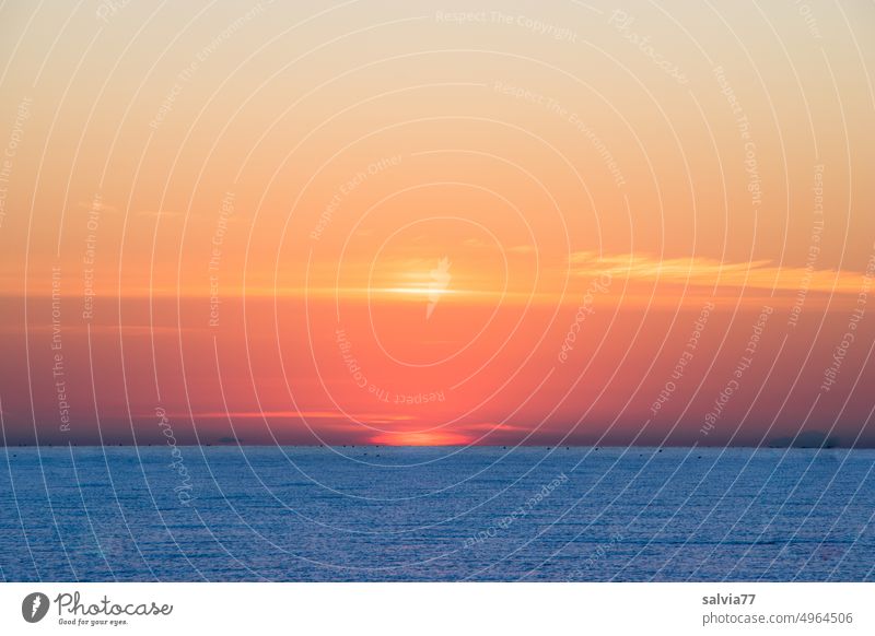 soon the sun emerges from the sea Sunrise Ocean Waves Sky Horizon Water Deserted Colour photo Morning Sunrise over the sea Horizon above the water