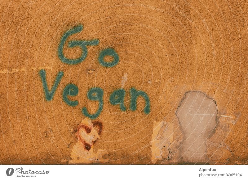 go vegan Vegan diet Graffiti Wall (building) house wall Nutrition Vegetarian diet Healthy Eating Colour photo Food