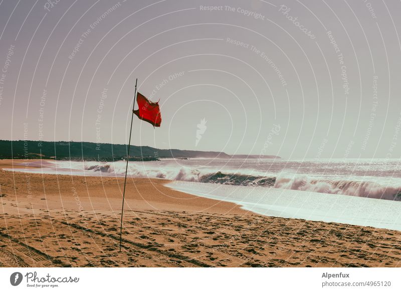 Claims of ownership Beach Barred Waves Deserted red flag Water Flag Ocean coast Exterior shot Colour photo Vacation & Travel Sky Relaxation Nature Day Summer