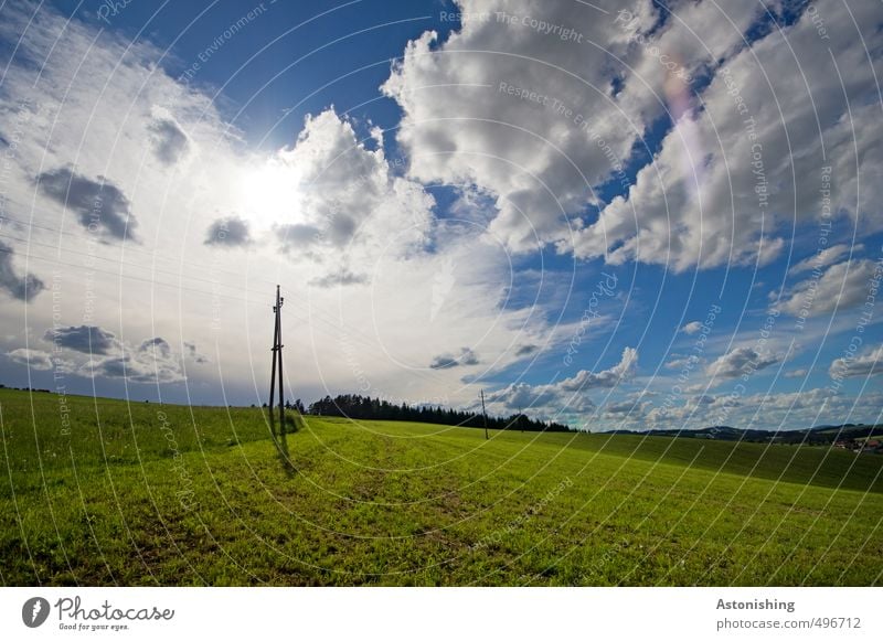 Green electricity Cable Environment Nature Landscape Plant Air Sky Clouds Horizon Sun Sunlight Summer Weather Beautiful weather Warmth Tree Grass Meadow Field