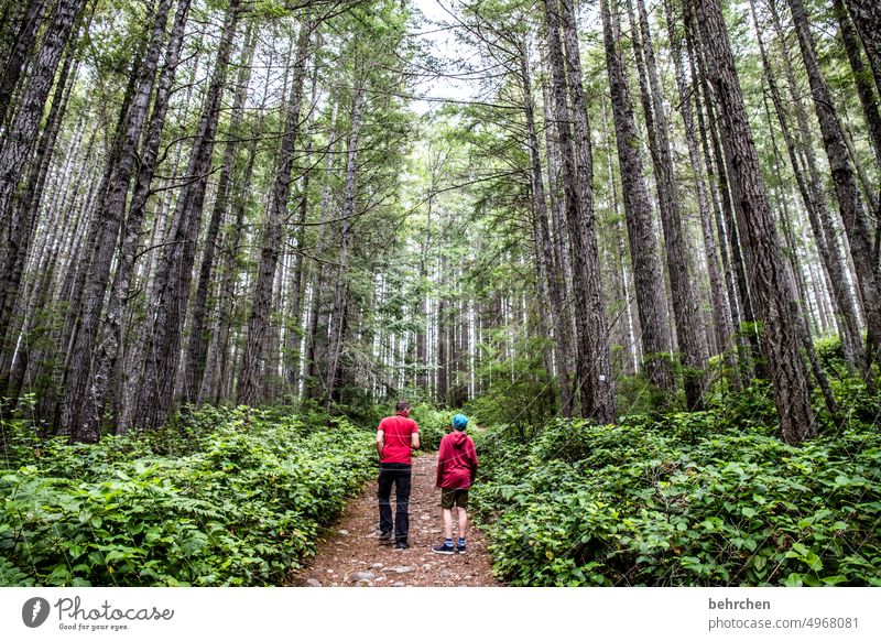 red jacket Lanes & trails hikers Together in common Environment Exterior shot Nature Summer Son Father Hiking Boy (child) Man Child Parents Family & Relations