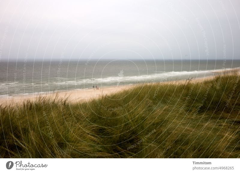 A dreamy view of the North Sea Ocean Water Waves White crest Horizon Beach Sand beach grass duene Denmark Vacation & Travel coast multiple exposure