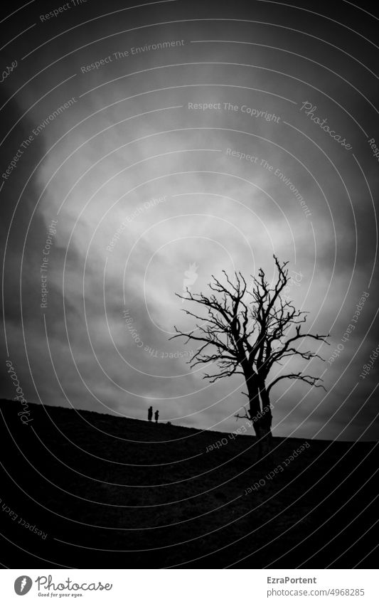 from home Tree people 2 two Human being Sky Clouds Black & white photo White Mystic Dark Nature Landscape Creepy Hallowe'en Eerie Gray melancholically