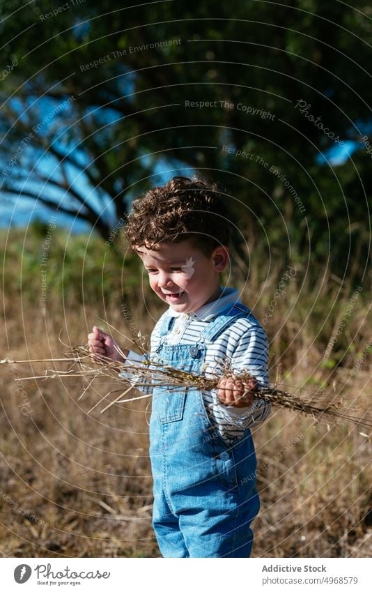 Happy boy in sunny field exploring plant explore nature grass happy little countryside cheerful child summer kid childhood overall sunlight pile joy adorable
