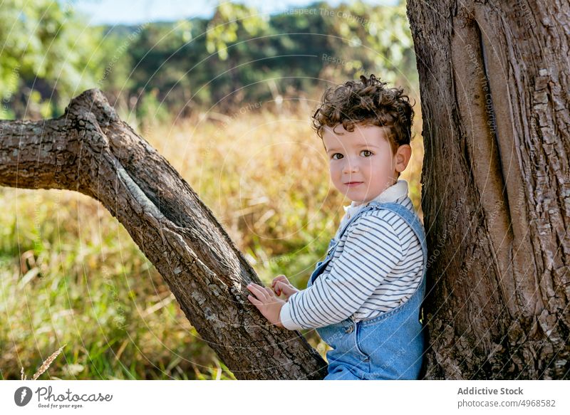 Cute kid sitting on tree trunk boy rural child nature carefree adorable summer cute countryside curly hair denim childhood innocent little calm summertime
