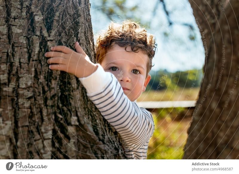 Little boy standing behind tree in nature countryside portrait trunk charming childhood summer kid curly hair natural serious adorable embrace environment gaze