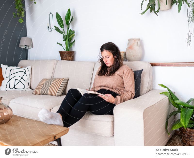 Woman sitting on sofa with book woman couch hobby living room modern apartment concentrate serious female read leisure focus home literature knowledge pastime