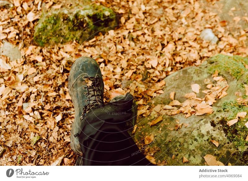 Close-up of a woman's legs with hiking boots in the forest nature lifestyle closeup outdoor activity people foot healthy sport active young feet person shoes