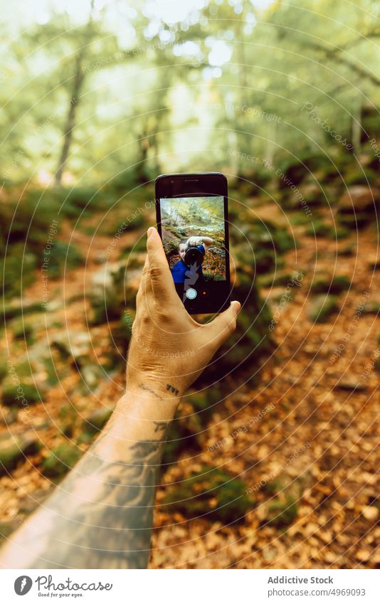 Hand holding a mobile phone and taking a photo to the forest tree autumn wood nature landscape park world view moss panorama bright colorful scenic fall travel