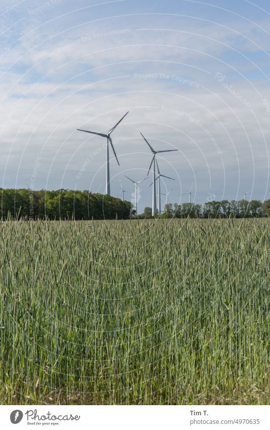 a field in the background a wind farm Brandenburg Wind energy plant Sky Clouds Exterior shot Nature Energy industry Landscape Colour photo Day Renewable energy