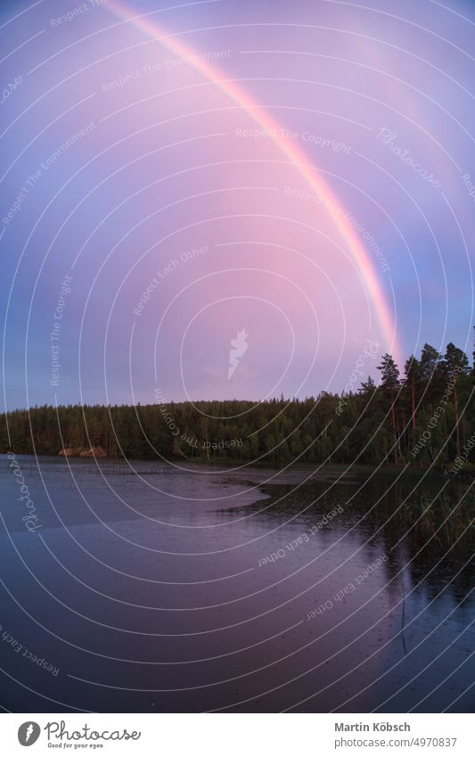 Rainbow reflected in the lake when it rains. on the lake reeds and water lilies. forest raindrops reflection sweden vacation cloud nature beach see sand sun