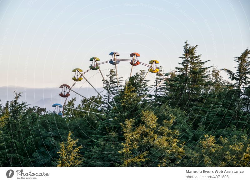 The Ferris wheel of the amusement park in Kutaisi (Georgia) rises lonely from the treetops leisure park gondola Forest in the middle of the forest Tree tops
